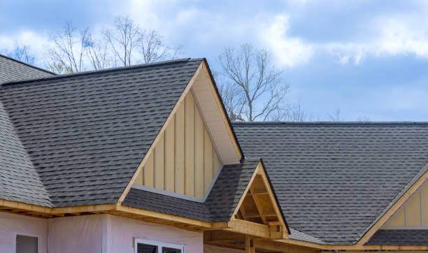 Best Cold Roofs  in Sun Valley, NV