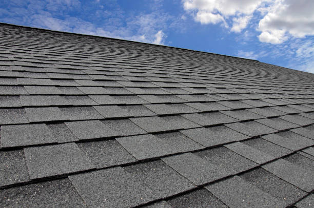 Best Roof Insulation Installation  in Sun Valley, NV
